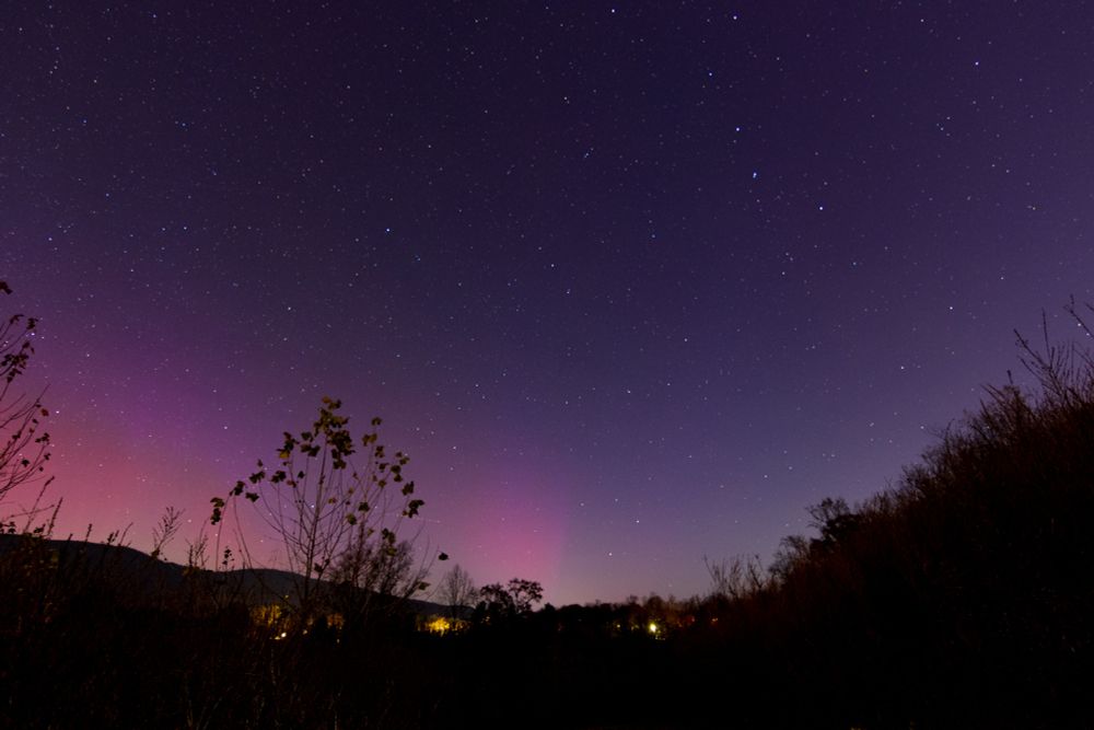 Pink and green hints of the aurora borealis along the skyline in a night shot with vegetation in the foreground.