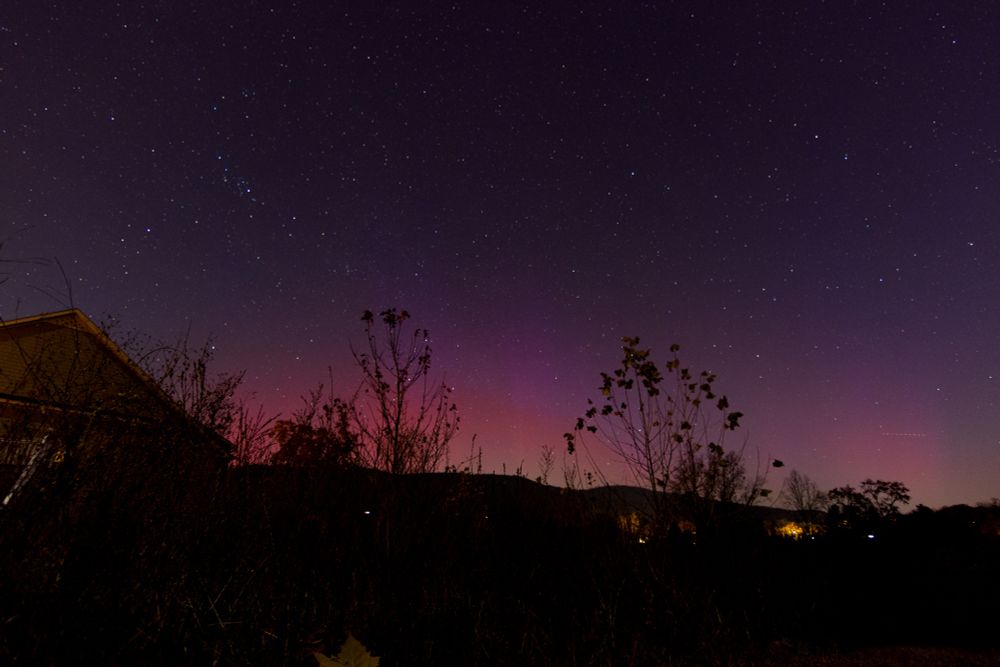 Pink and green hints of the aurora borealis along the skyline in a night shot with vegetation in the foreground.