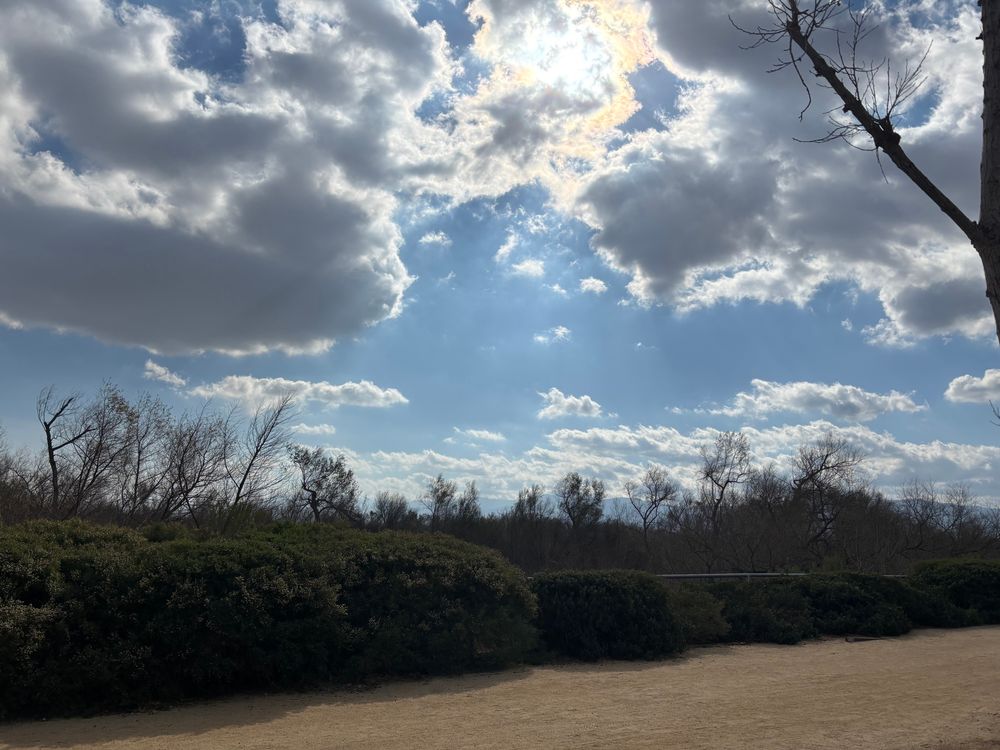 Cloudy sky, with riparian/ornamental vegetation, and dirt road.