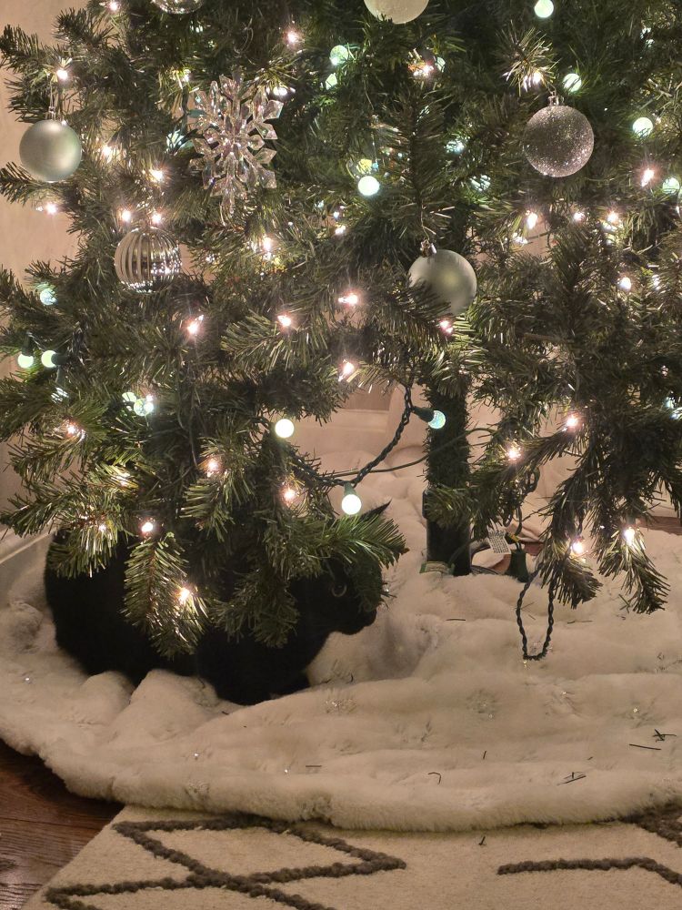Black cat sitting under a lit christmas tree 