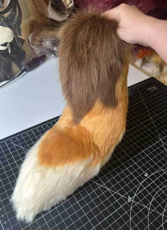 Plush white, orange, and brown wolverine tail from above to see the pointed pattern.