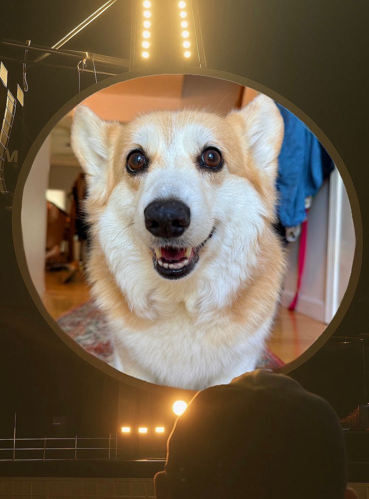 A smiling corgi dog shown on a large jumbotron screen at a concert venue (coldplay), with stage lights glowing and a person watching from below in silhouette.