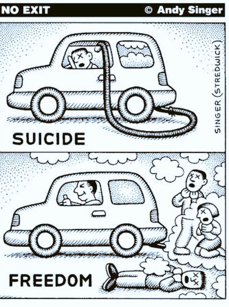 Dessin de Andy Singer.

Case du haut : un automobiliste s'enfume volontairement avec les gaz du pot d'échappement de sa voiture, le titre est "suicide".

Case du bas un automobiliste intoxique les piétons proches de sa voiture avec les gaz d'échappement de sa voiture, le titre est "freedom".