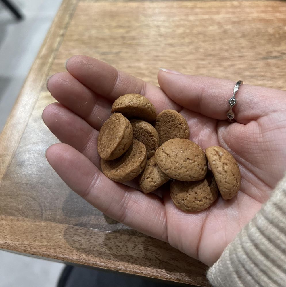 Handje gekregen kruidnoten op foto.