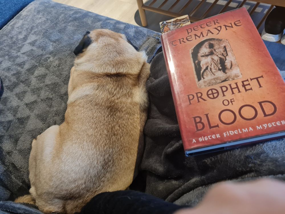 Apricot and black pug lying asleep on a grey sofa. A book is next to him with an orange cover and the title "Prophet of Blood" by Peter Tremayne 