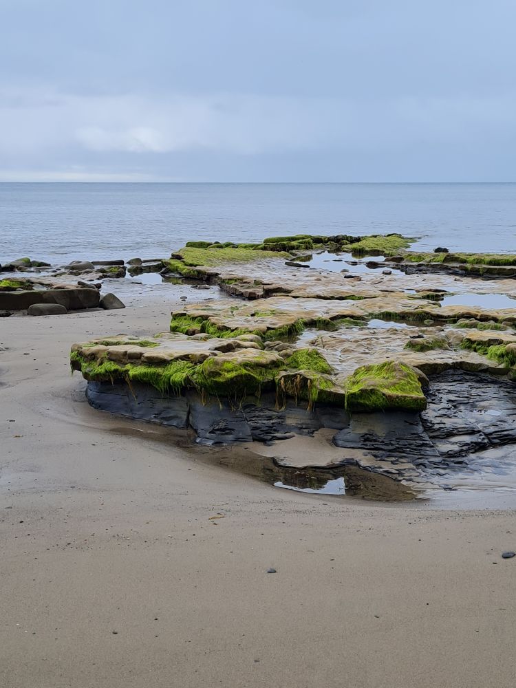 Sandy beach with rocks covered in algae and the sea in the distance with cloudy skies above