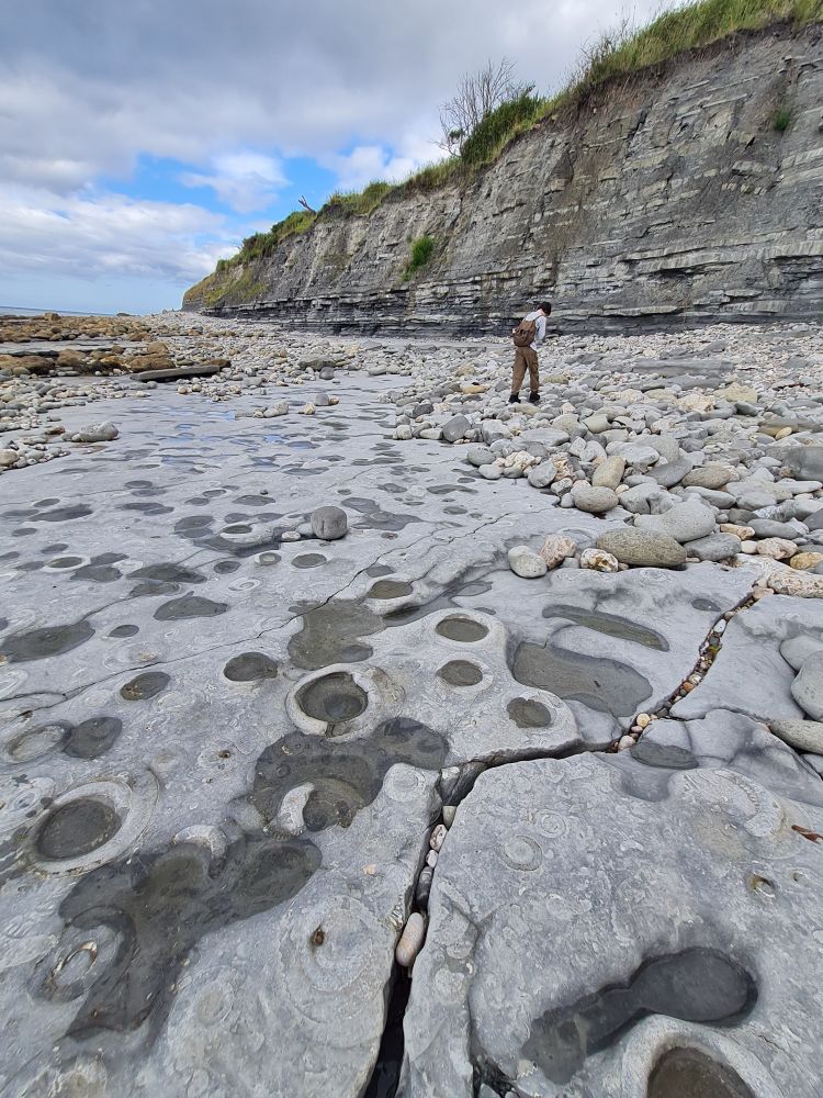 Grey rock floor covered in ammonites with grey cliffs behind and a boy in walking in the distance. The sky is slight blue with lots of clouds
