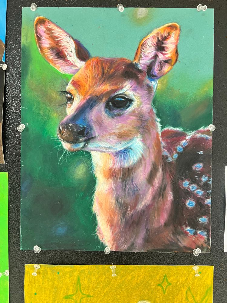 A highly detailed oil pastel drawing of the upper body of a fawn set on a green background.
