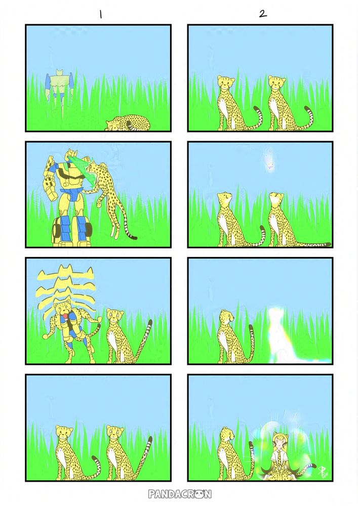 チーターとチーター
