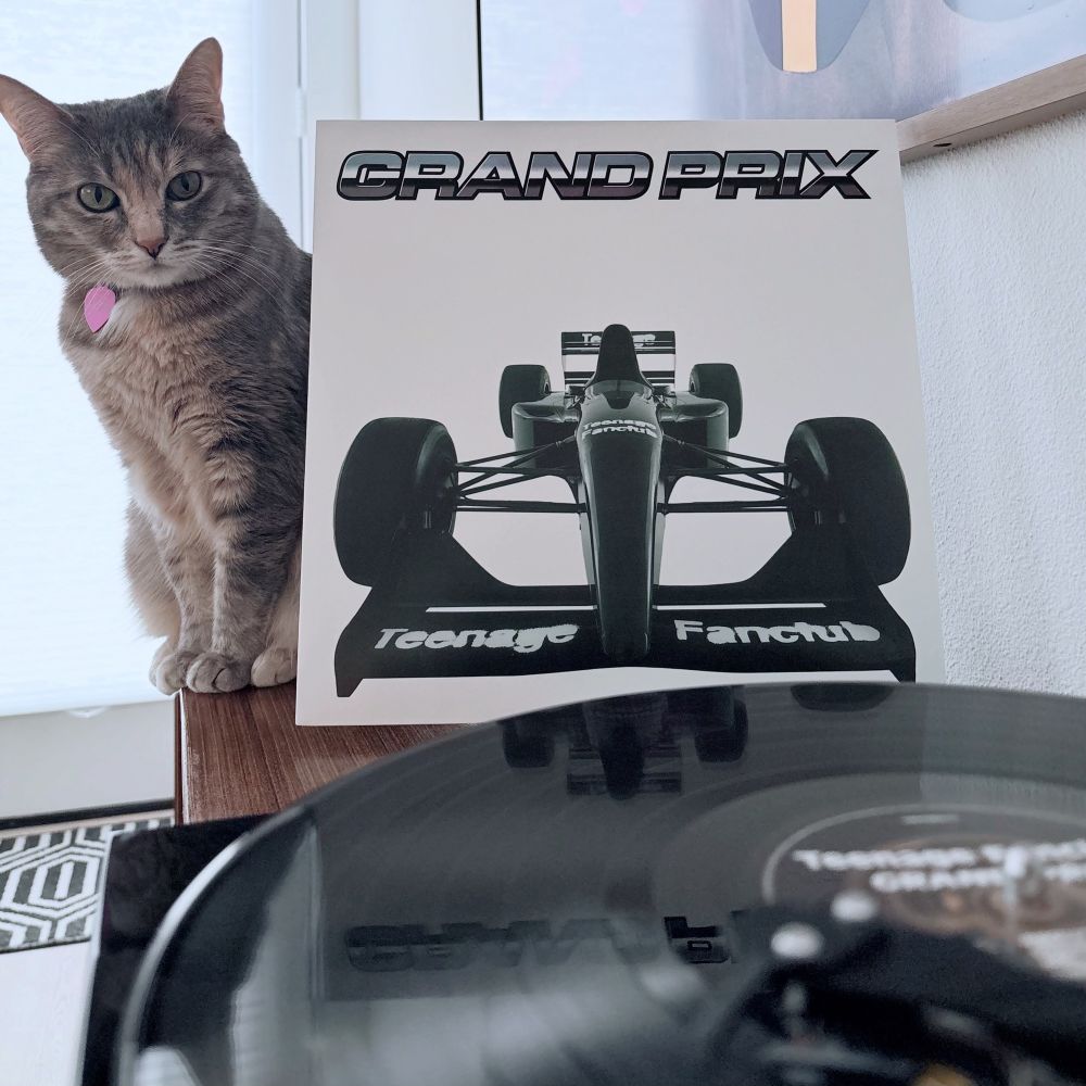 Torbie cat sitting next to record jacket of Teenage Fanclub album Grand Prix. Record spinning in the foreground.