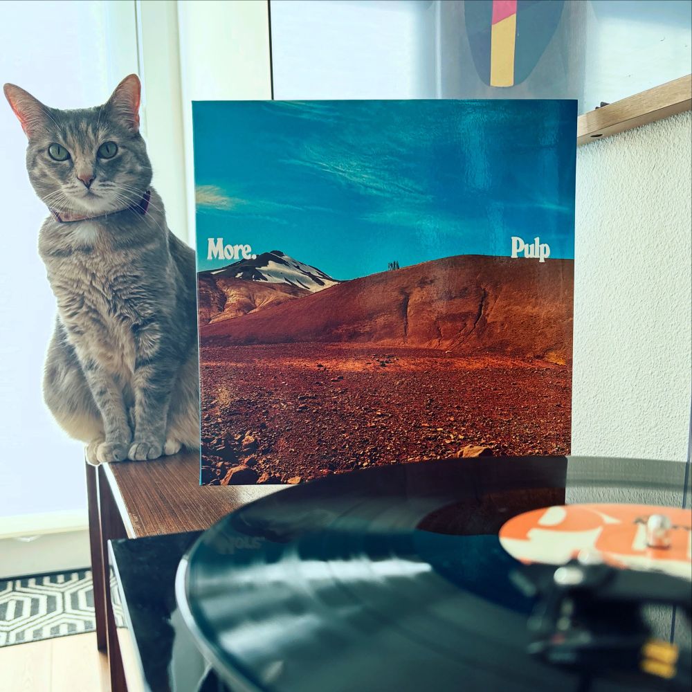 Torbie cat sitting next to record jacket of Pulp’s album, More. Vinyl spinning in the foreground. 
#vinyl #vinylcommunity #nowspinning #catsandvinyl #pulpband #jarviscocker 