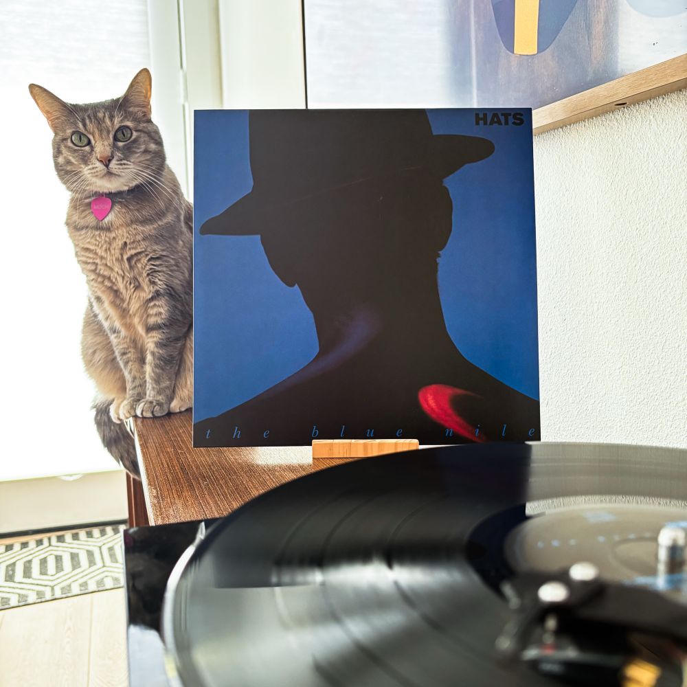 Torbie cat sitting next to record jacket of The Blue Nile’s album, Hats. Vinyl spinning in the foreground.