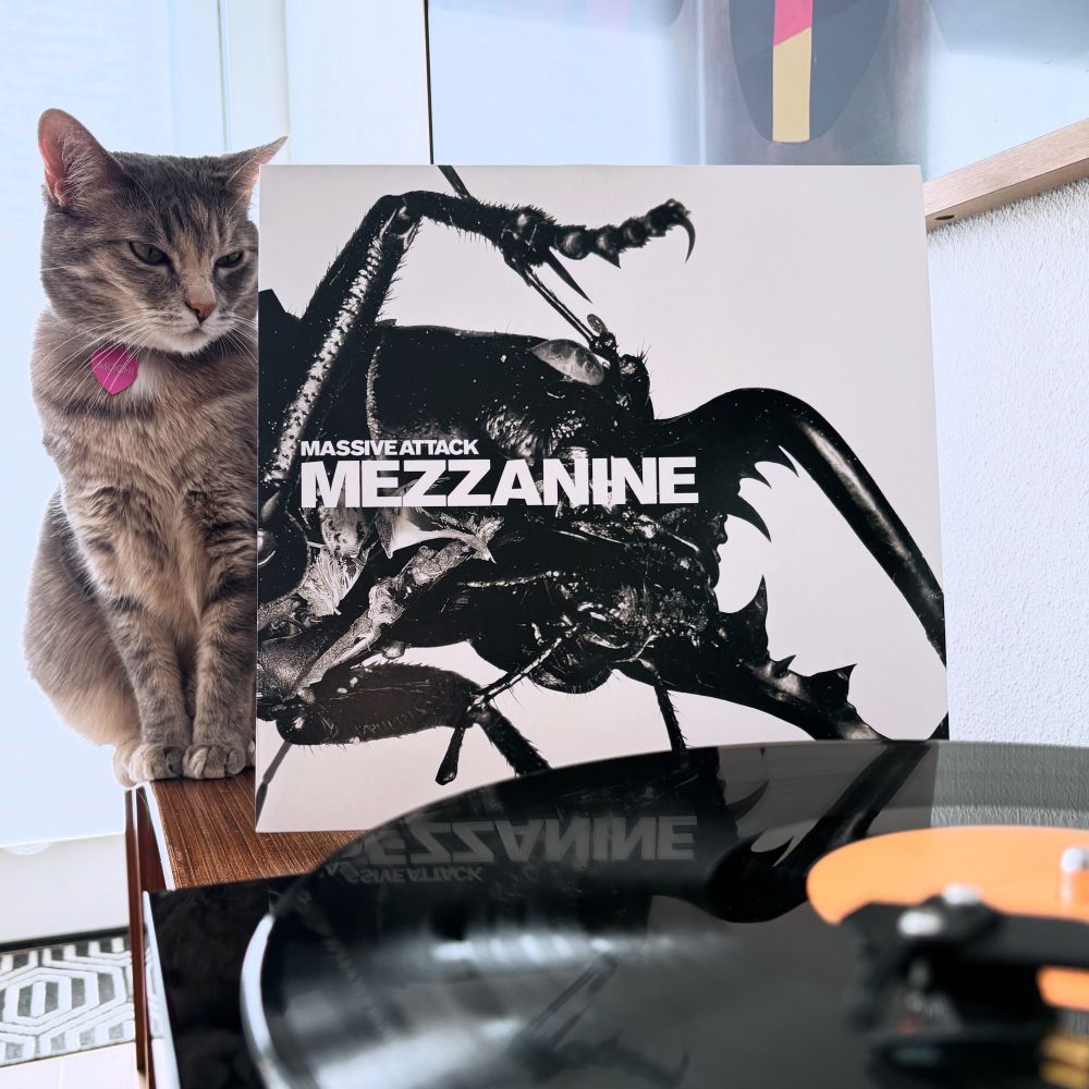 Torbie cat sitting to next record jacket of Massive Attack album, Mezzanine. Vinyl spinning in the foreground.