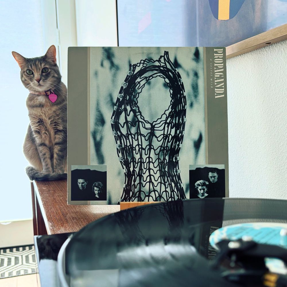 Torbie cat sitting next to record jacket of the album A Secret Wish by Propaganda. Record spinning in the foreground. 

#propaganda #asecretwish #vinyl #vinylsky #vinylcommunity #nowspinning #catsandvinyl 

