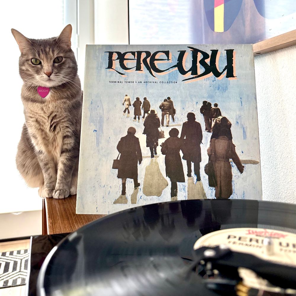 Torbie cat sitting next to record jacket of the album Terminal Tower: An Archival Collection by Pere Ubu. Vinyl spinning in the foreground.