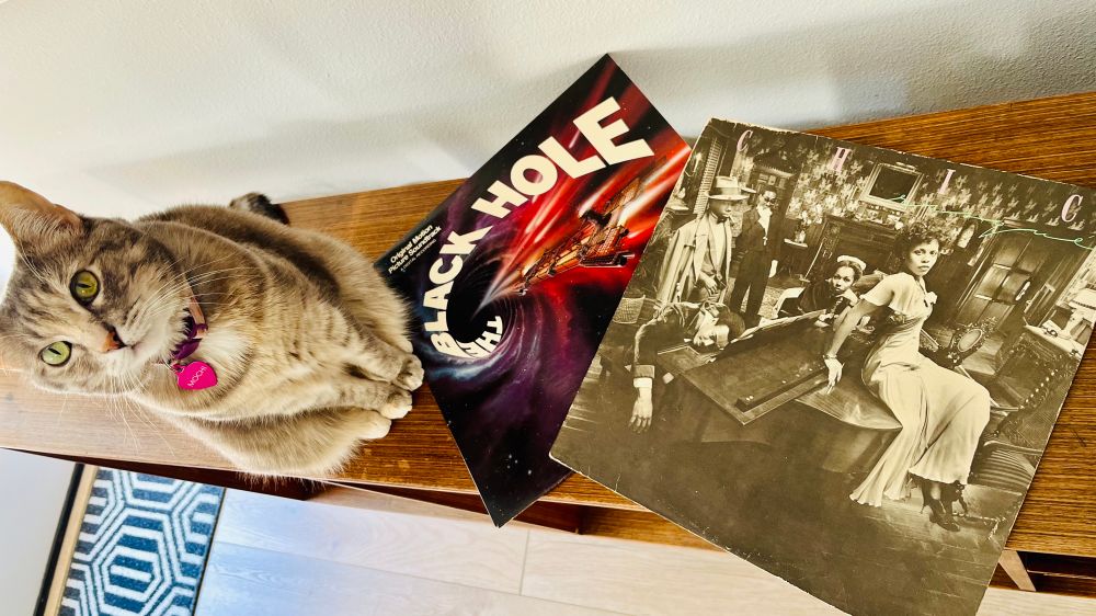 Torbie cat sitting next to vinyl jackets of The Black Hole soundtrack and Chic - Risqué #johnbarry #vinylsky #catsandvinyl