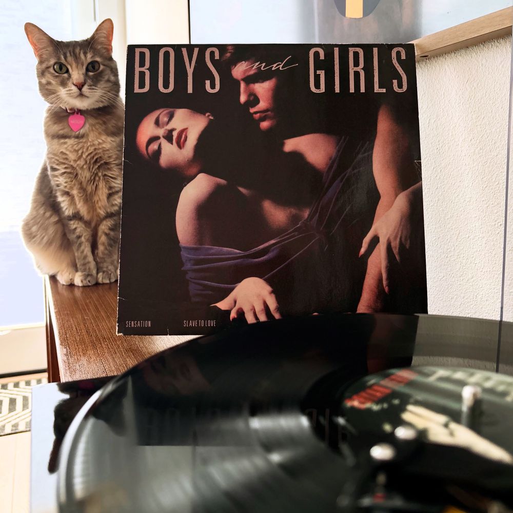 Torbie cat sitting next to record jacket of the Bryan Ferry album, Girls and Boys. Record spinning in the foreground.