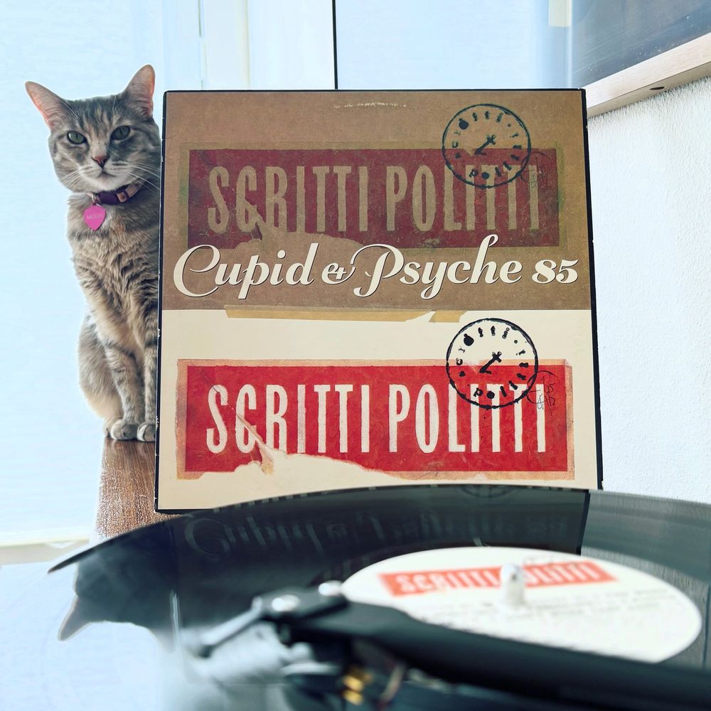 Torbie cat sitting next record jacket of Scritti Politti’s album Cupid and Psych 85. Vinyl spinning in the foreground. #scrittipolitti #cupidandpsyche85 #vinyl #vinylcommunity #nowspinning #catsandvinyl 