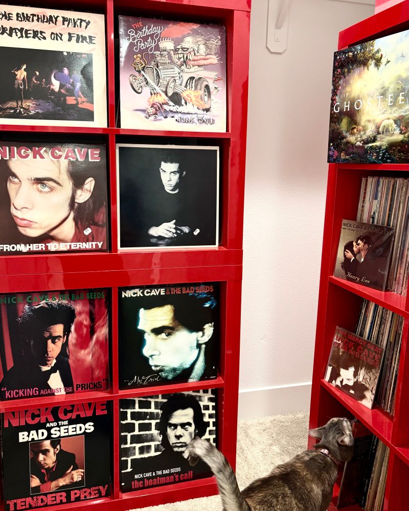 A vinyl collection on the shelf of Nick Cave records from the Birthday Party to the Bad Seeds. #nickcave #nickcaveandthebadseeds 