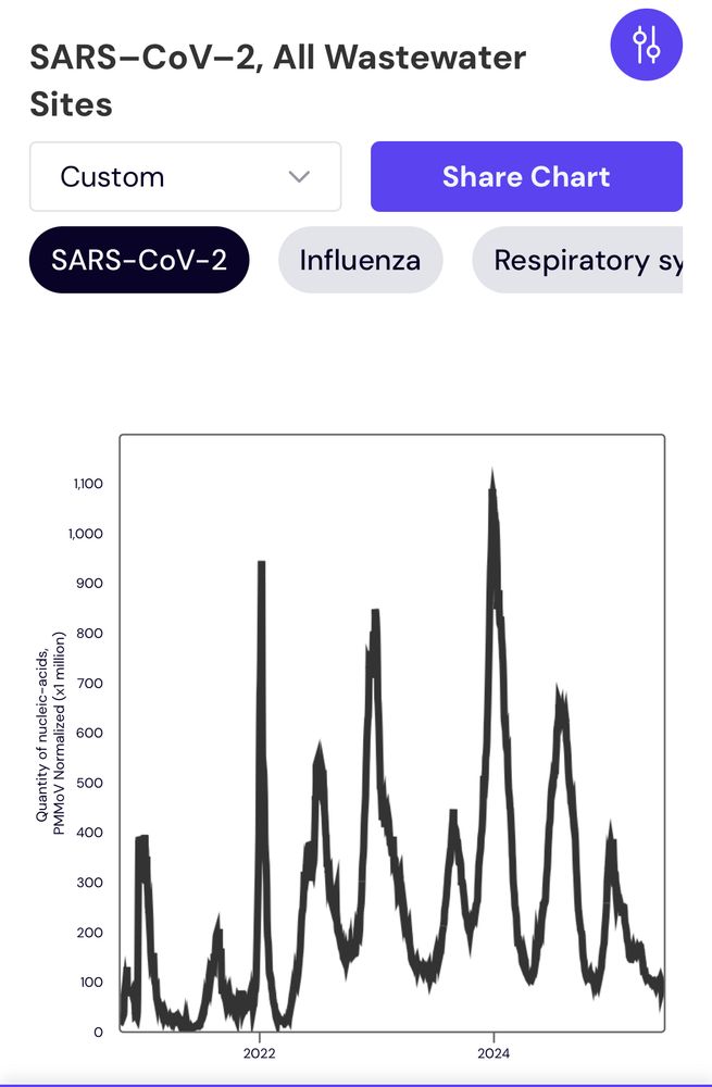 Screenshot of the wastewater data showing a constant cycle of infection waves since 2021, with the highest peak being in summer of 2024. 
