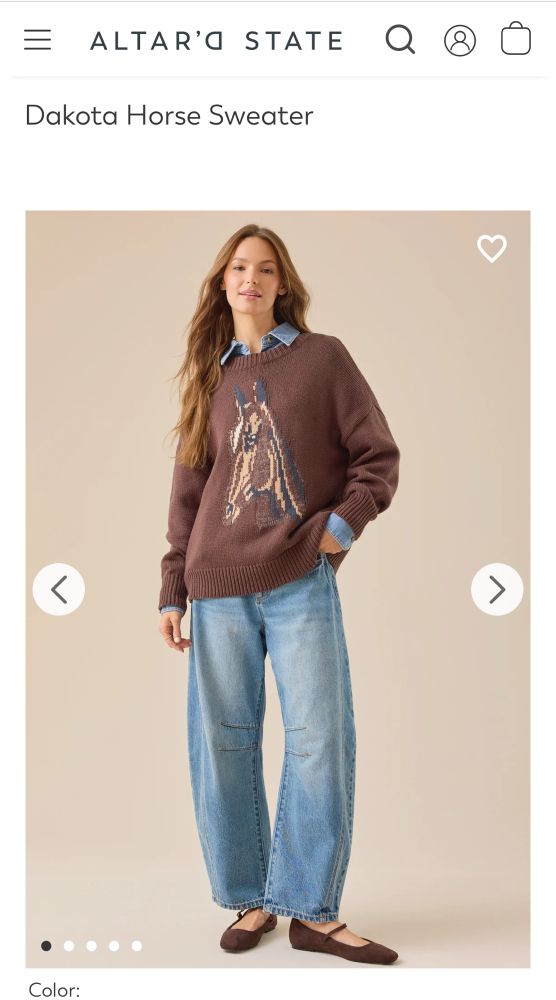 Brown sweater with a brown horse head (Altar’d State)