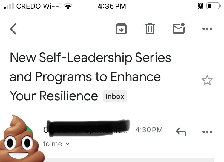 Anonymized email with subject line, “New Self-Leadership Series and Programs to Enhance Your Resilience”
