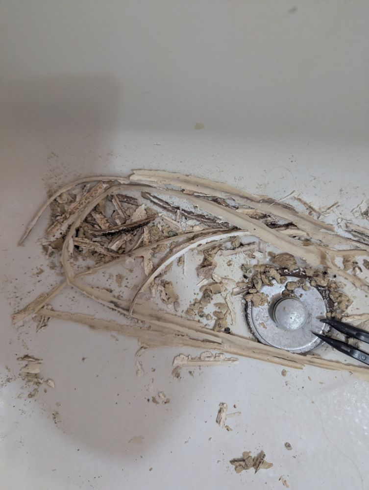 Picture of gross, moldy snake-like strands of old grout puddled in the bottom of a bathtub like the curdled intestines of an evil rich white man.