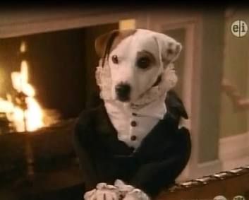 Wishbone, a Jack Russell terrier dog who taught 90s children to appreciate classic literature, sits in front of a fireplace in a frilly shirt and jacket.