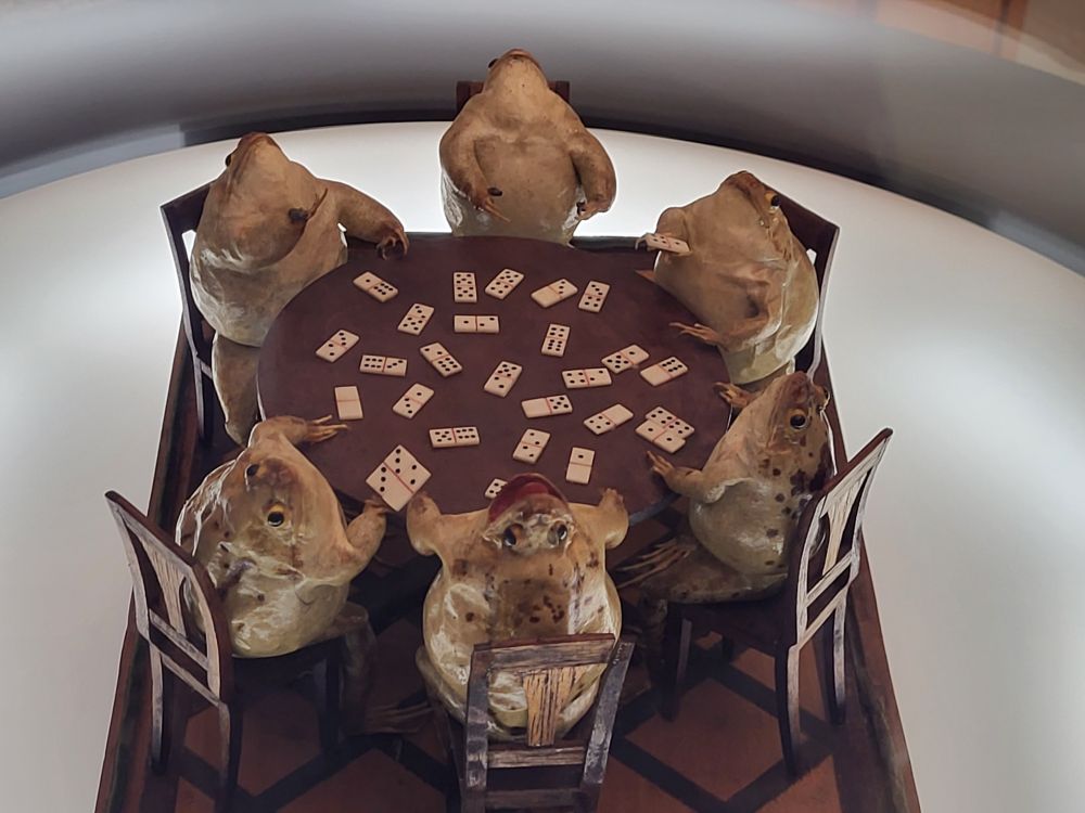 Taxidermied frogs playing dominoes 