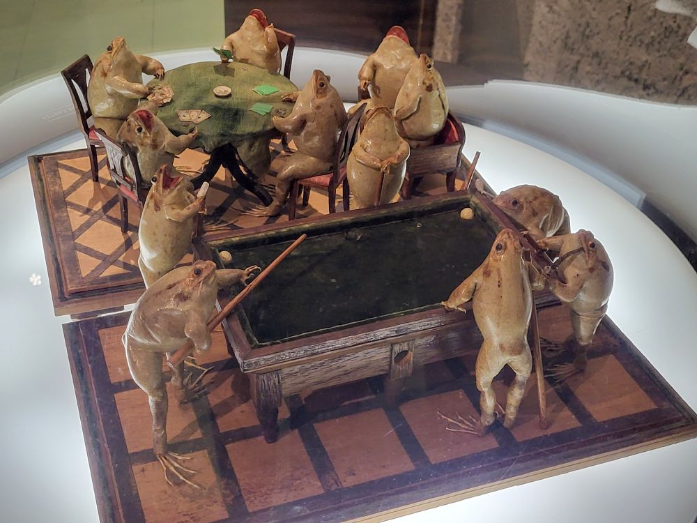 Taxidermied frogs playing pool and poker
