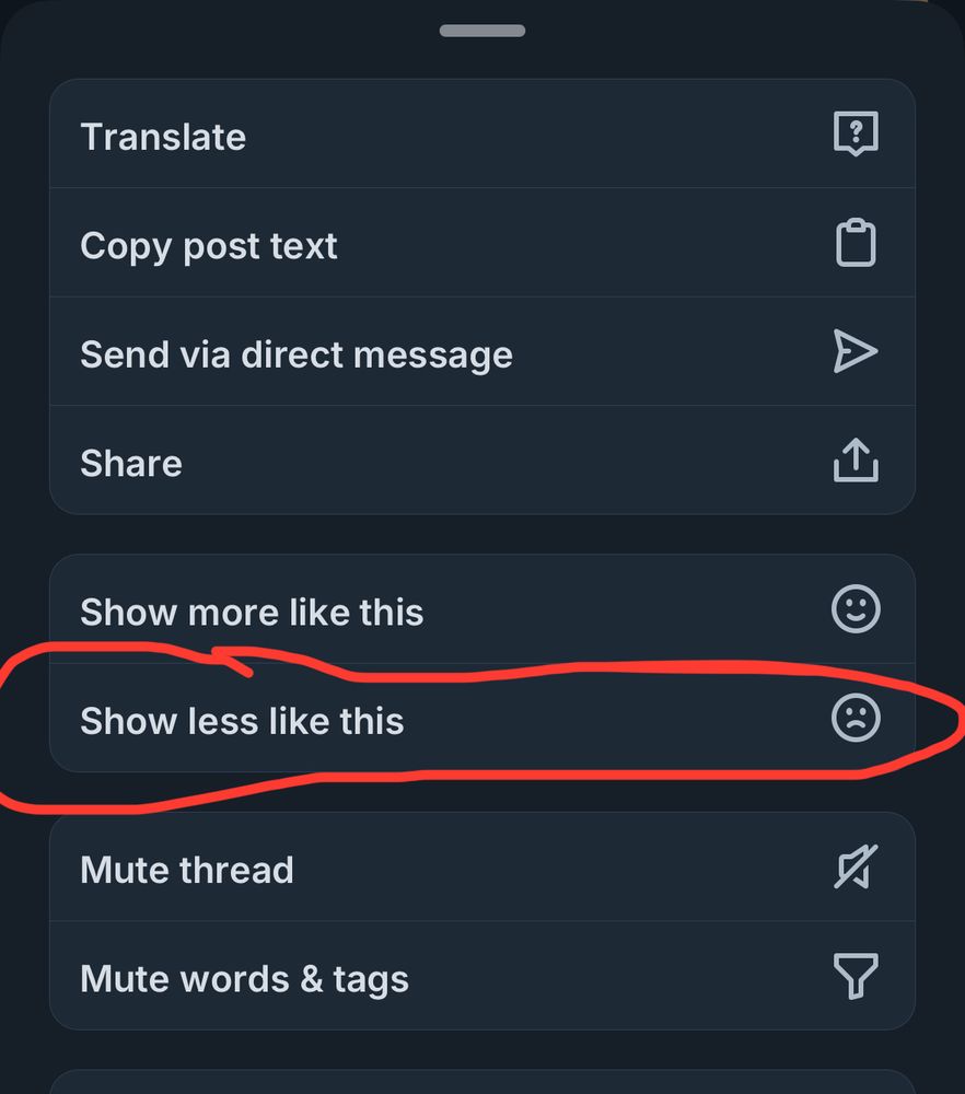 Bluesky post options menu with “show less like this” circled in red