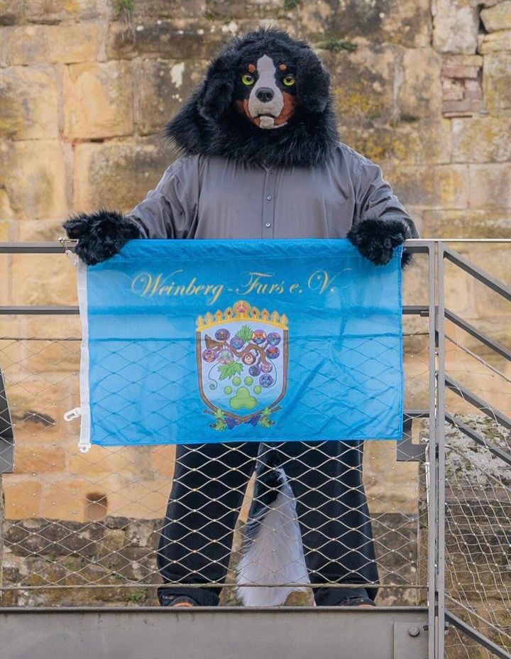 Berner Sennenhund Fursuiter steht an Geländer mit Weinberg-Furs e.V Fahne. Stadtmauer im Hintergrund