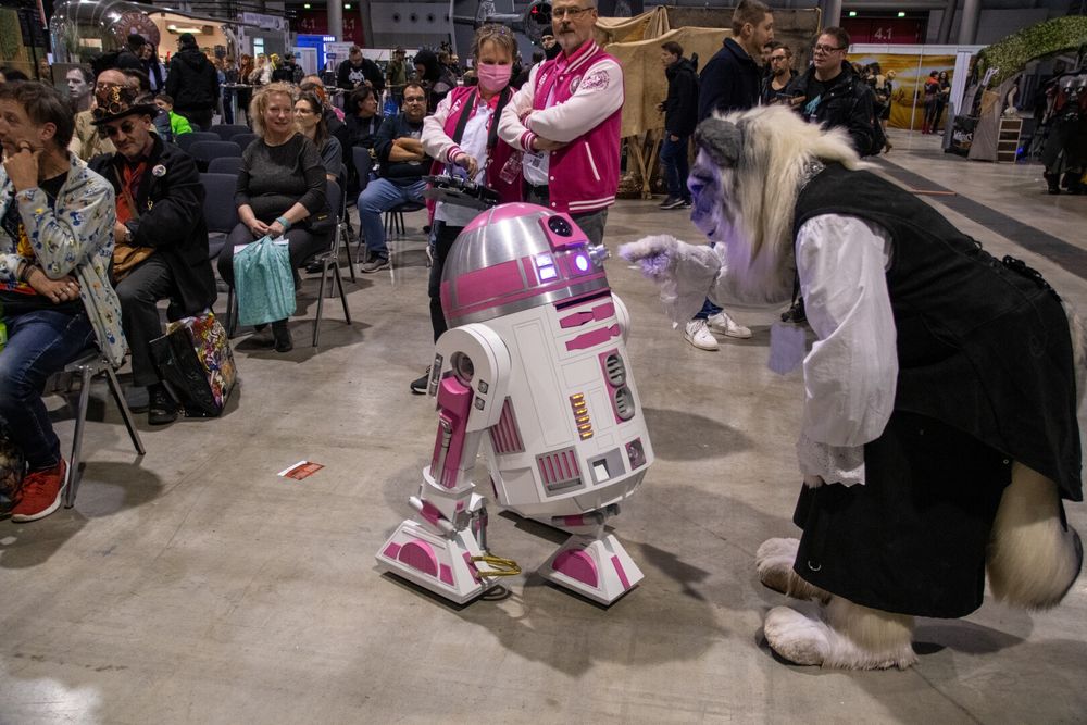 Schneeleoparden-Furry im Suit in der Hocke. Zeigt mit der Pfote auf einen R2-KT, „Rosaner R2-D2“ aus Star wars. Szenerie ist auf einer Messe. Exzentrisch pink angezogenes Duo im Hintergrund mit Fernbedienung