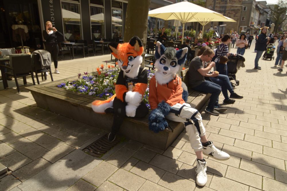 Ein Fuchs Fursuiter rund ein Wolf Fursuiter, auf einer Bank in der Stadt sitzend im Frühling, Blumen imHintergrund in Orange und Bali, viele Fußgänger, Sonnenschirm im Hintergrund