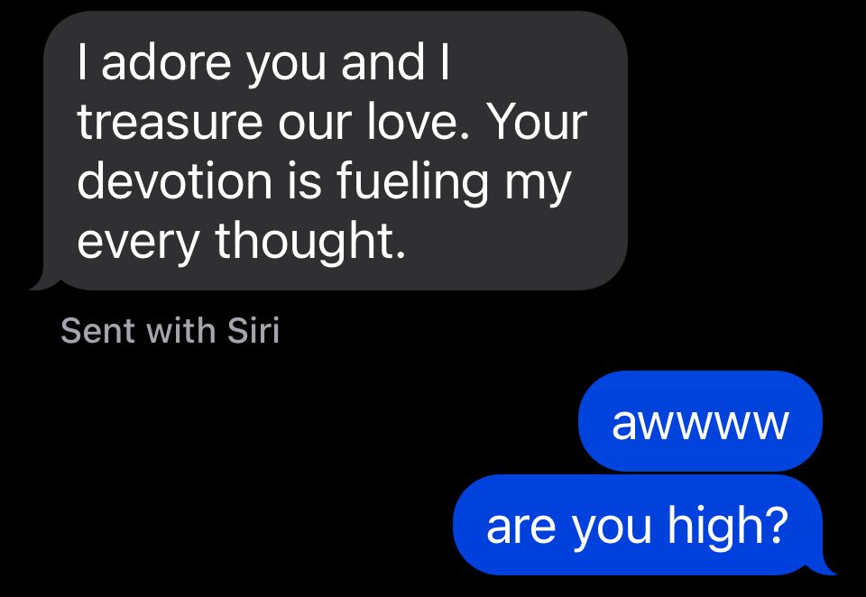 A text exchange. The first person says “I adore you and I treasure our love. Your devotion is fueling my every thought.
Sent with Siri”
The second person says “awwww. are you high?”