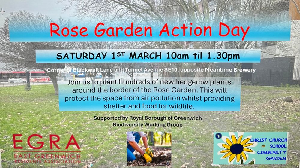 Poster showing Rose Garden action day, Blackwall Lane, SE10. 600 hedgerow trees to be planted