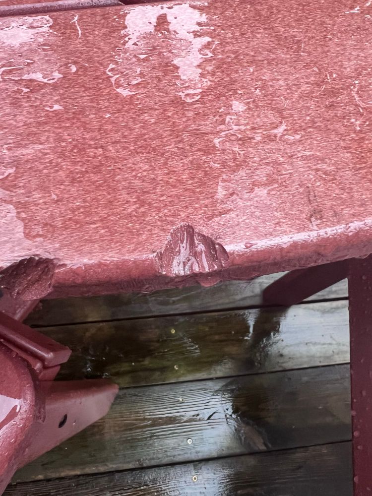 Squirrel gnaw marks on patio table
