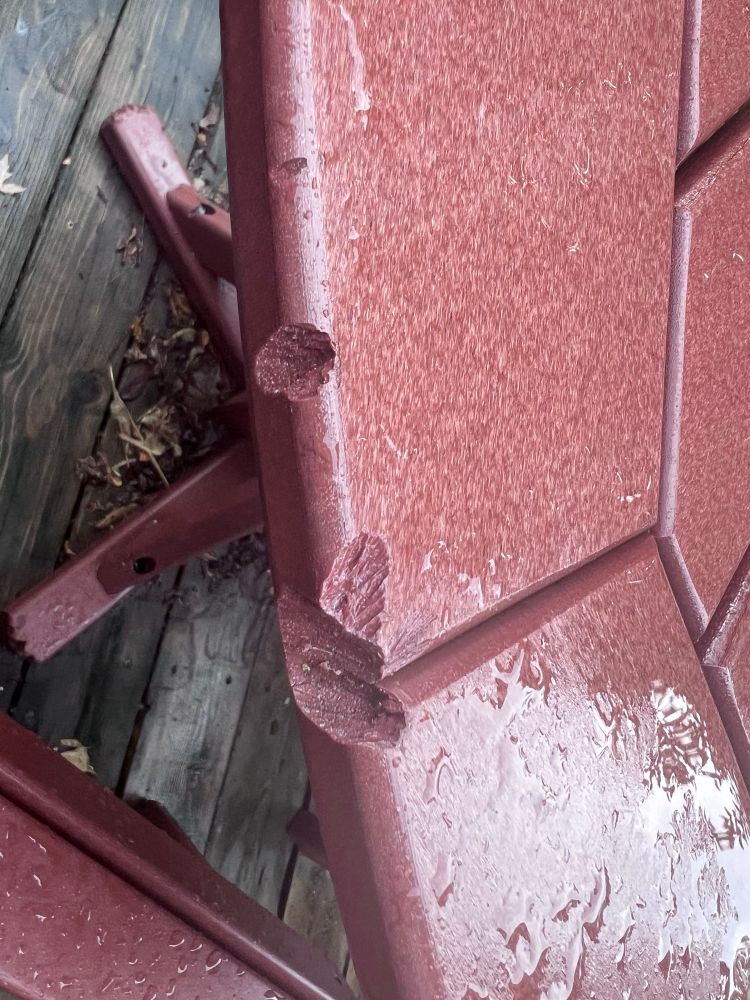 Squirrel gnaw marks on patio table