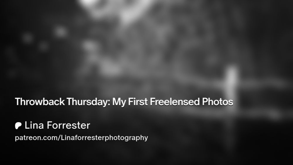 Throwback Thursday: My First Freelensed Photos | Lina Forrester