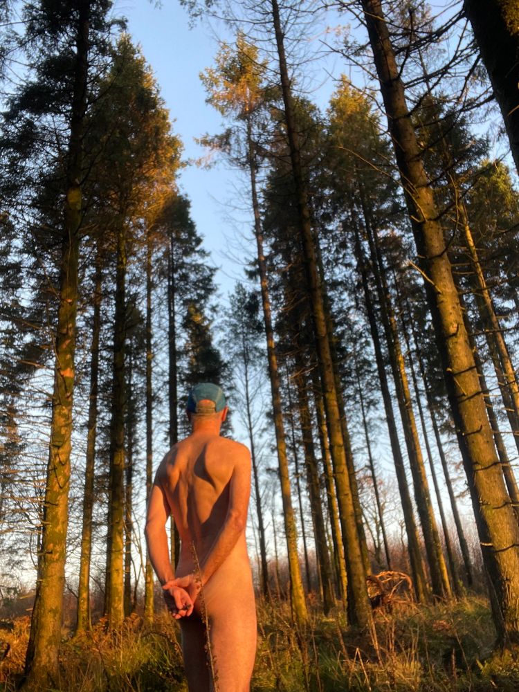 A naked man , enjoying the sunshine upon his back, just before sunset in a glorious wooded area full of pine trees. A moment of splendid isolation and contemplation.