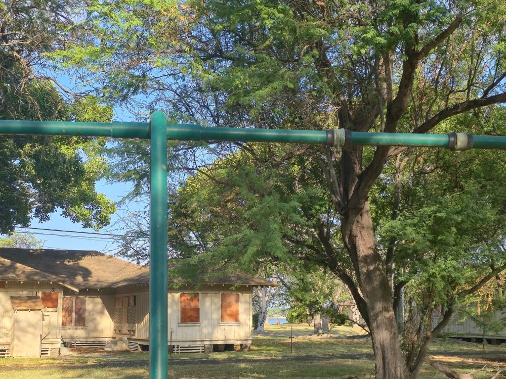 A green metal frame from a playground swing set, stands in the foreground of an overgrown yard with large trees. Behind it are several boarded-up wooden houses with peeling paint, surrounded by dappled sunlight. In the background, a glimpse of the ocean is visible through the trees.