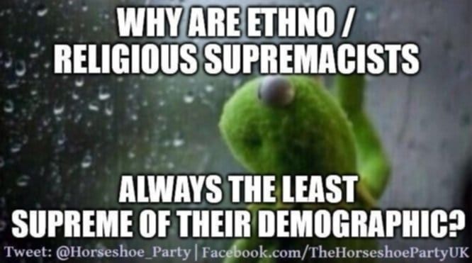 Kermit staring through the window into rain captioned as follows.
Why are Ethno-Religious supremacists always the least supreme of their demographic?