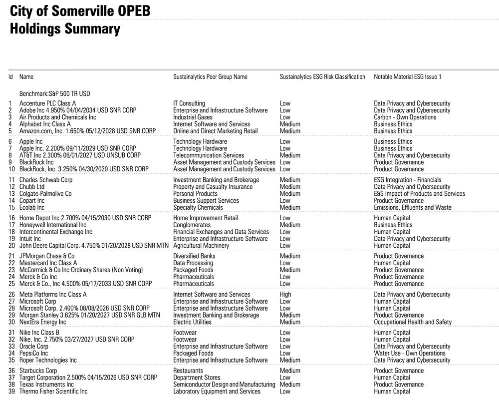 Screen shot of holdings of the Somerivlle OBEP fund 1 of 2