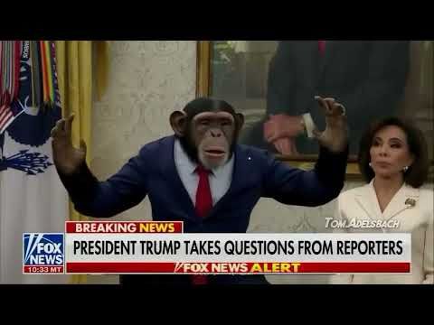 live from the White House