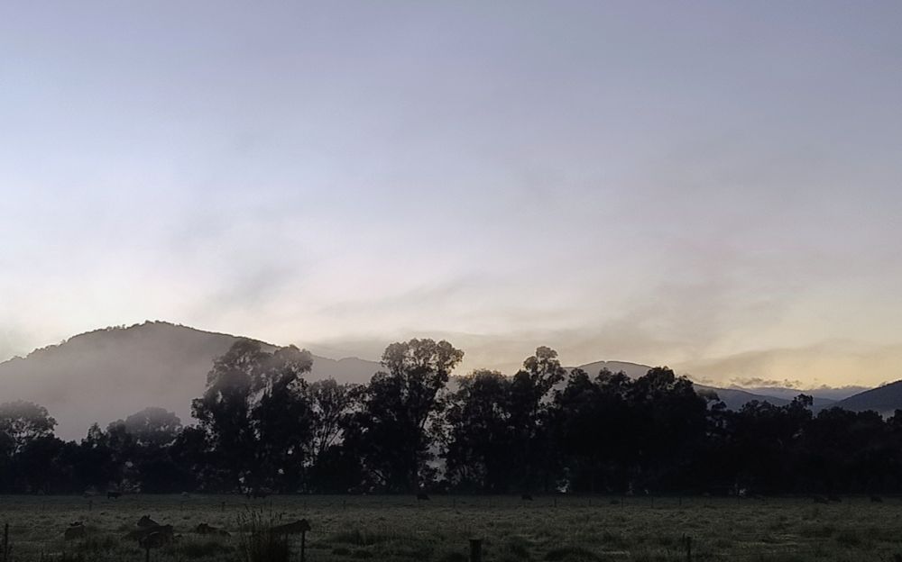 Pre dawn fog lifting off paddocks with treeline and hills behind.