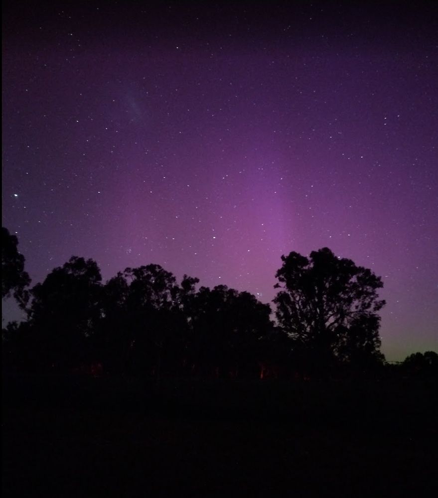 Green and red aurora glowing behind gumtrees. From Benalla, Vic, Australia.