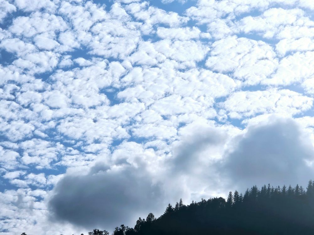 Das Bild zeigt eine Ansammlung von Cumuluswolken, oft auch als "Schäfchenwolken" bezeichnet, die sich am blauen Himmel abzeichnen. 