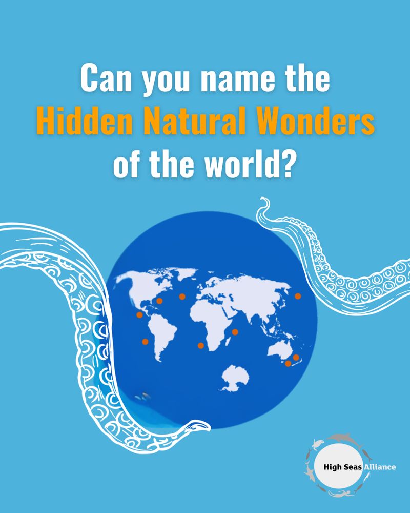 Promotional poster by High Seas Alliance featuring a stylized globe with orange markers, accompanied by the question 'Can you name the Hidden Natural Wonders of the world?' set against a bright blue background with wave designs.