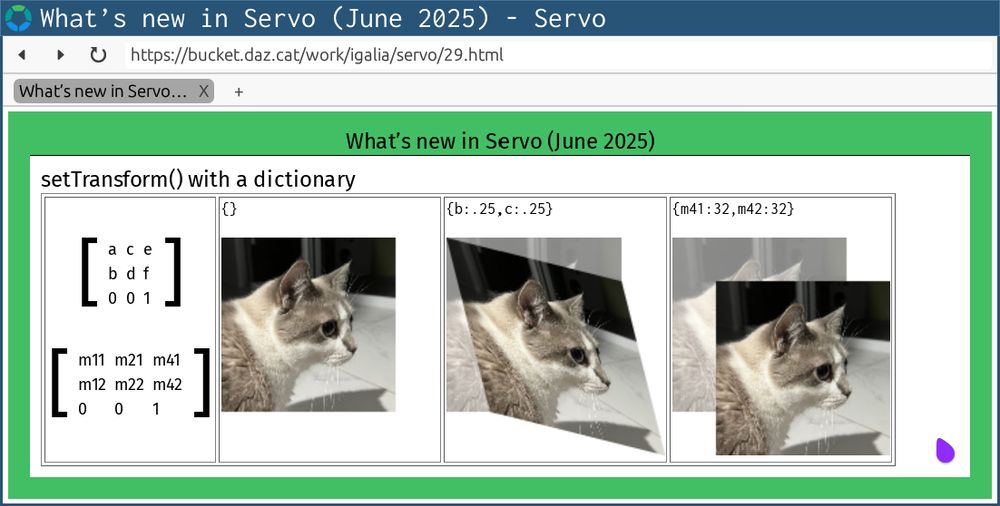 Servo showing various examples of calling setTransform() on CanvasRenderingContext2D with a dictionary