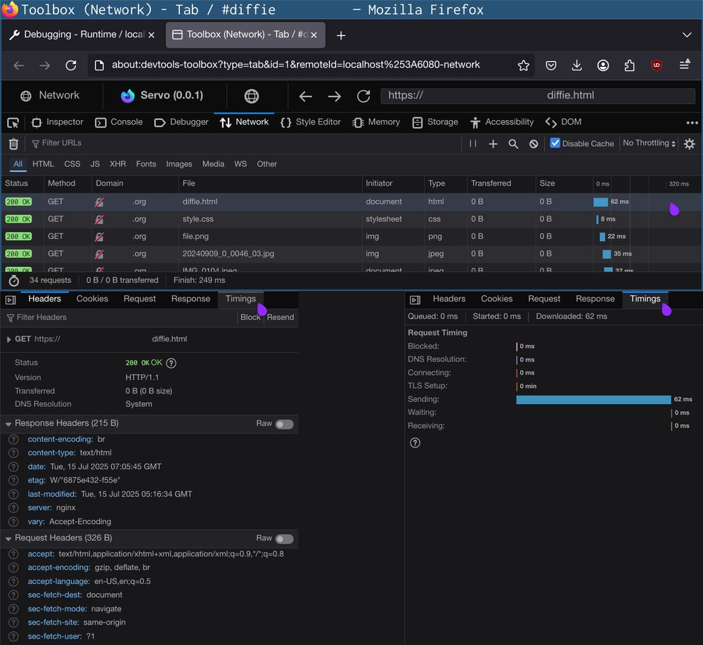 Network tab in the Servo devtools, showing a list of requests, the Headers panel with request and response headers for a request, and the Timings panel with the time each phase of that request took